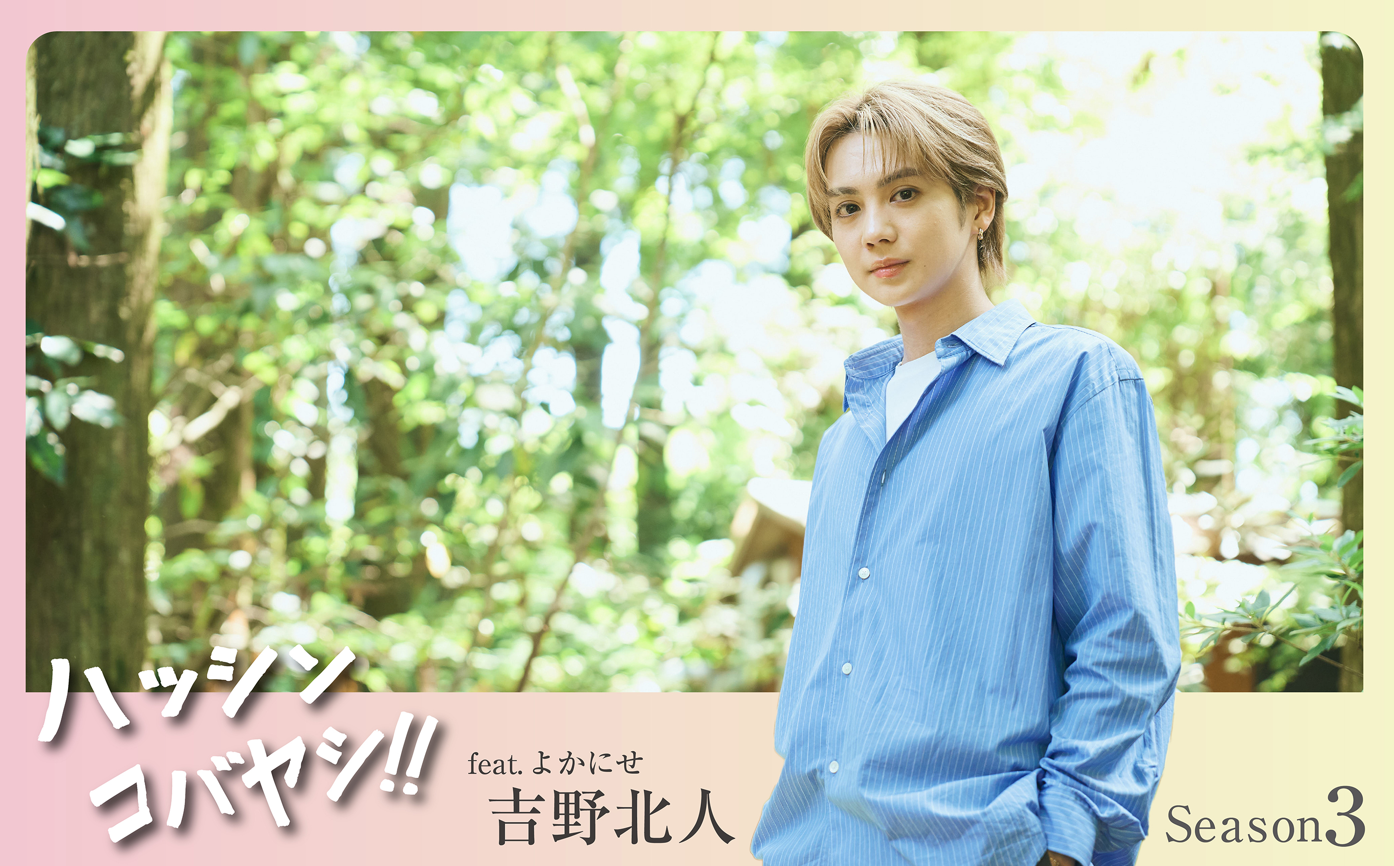 吉野北人 ハッシンコバヤシ カード セット ハッシンコバヤシ吉野北人トレカ - メルカリ