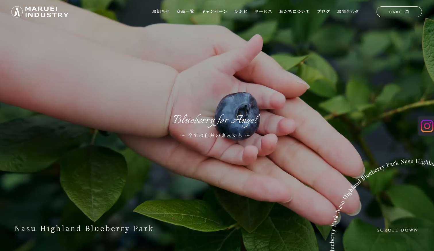 Nasu Highland Blueberry Park】那須高原の大自然が育んだ至極の